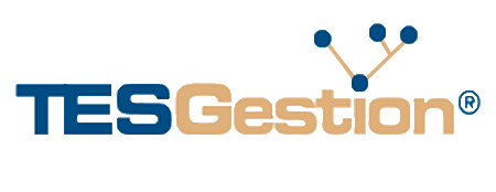 Logo Tes gestion