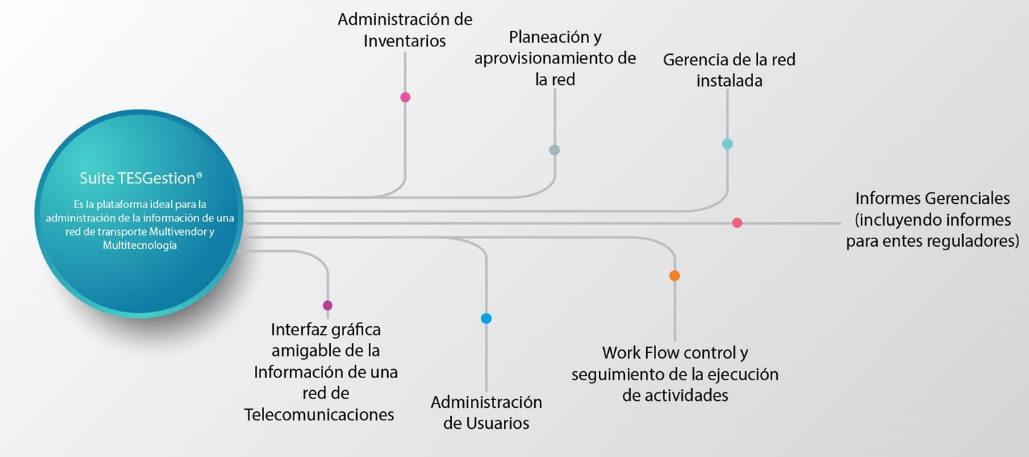 Tes gestion solución